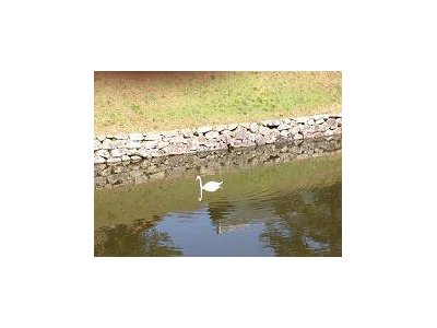 顔で笑って心で泣いて