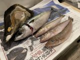 鶏は食ってもドリ食うな