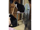 おはようございます。きょうも元気な笑顔でよろしくお願いいたします。
