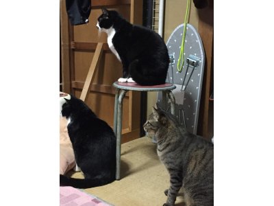 おはようございます。きょうも元気な笑顔でよろしくお願いいたします。
