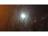 感謝の気持ちを忘れずに