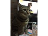 おはようございます。今月も楽しい笑顔でよろしくお願いいたします。