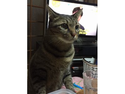おはようございます。今月も楽しい笑顔でよろしくお願いいたします。