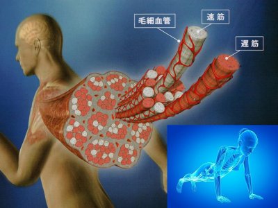 光線療法の色々な作用⑮