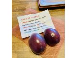 いつも有難う御座います。