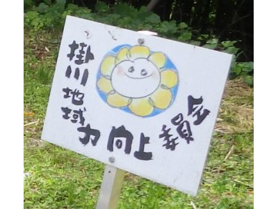 上川養鱒場たより 7月23日 朝