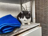 おはようございます。きょうも一日、明るい笑顔で頑張りまーす。