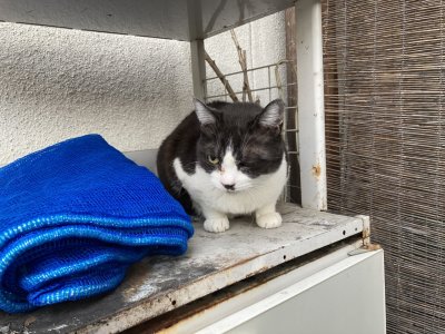 おはようございます。きょうも一日、明るい笑顔で頑張りまーす。
