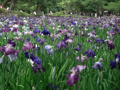 福岡県古賀市発、お急ぎの荷物の配達は福岡赤帽マンサナ・ツー運送、!