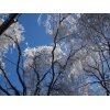 1月31日（日）雪山に行ってきました