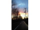 春らしい日差し
