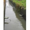 6/20【①代掻き…暗渠からの落水】