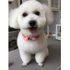本日のお客様♪