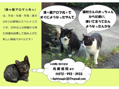 光療術院（ひかりりょうじゅついん）にゃんこ劇場