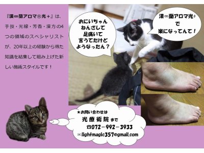 おはようございます。打撲・捻挫・筋肉痛にも漢∞蘭アロマ光+がお役に立ちます。