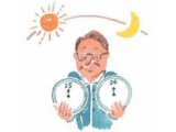 食べても太らない時間帯っていつ??