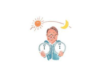 食べても太らない時間帯っていつ??
