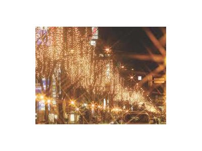 げっ・・・!明日から師走ですがな・・・