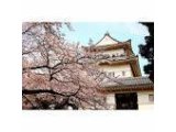 姉妹店、小田原エステグランブルーがラジオ出演決定!