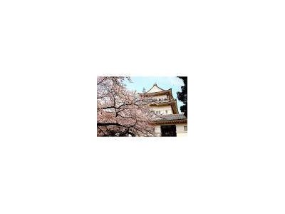 姉妹店、小田原エステグランブルーがラジオ出演決定!
