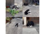 おはようございます。きょうも元気な笑顔で頑張りましょう。