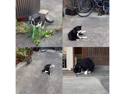 おはようございます。きょうも元気な笑顔で頑張りましょう。