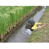 10/5【モチ米…水入れ】